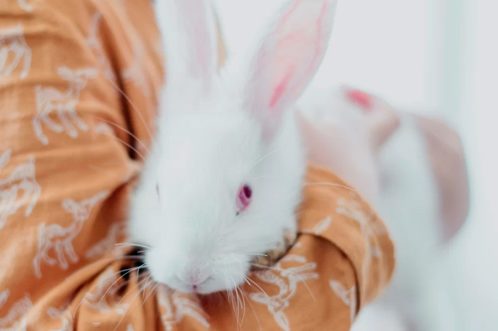 cosmetica con certificacion ecologica y vegana