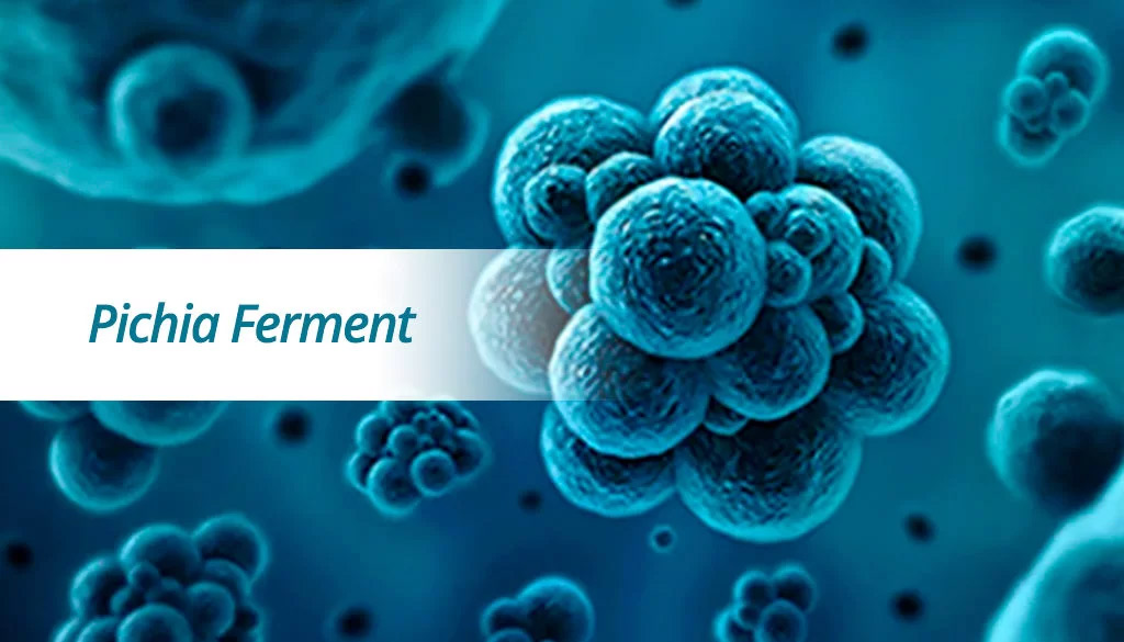 la pichia ferment lysate filtrate